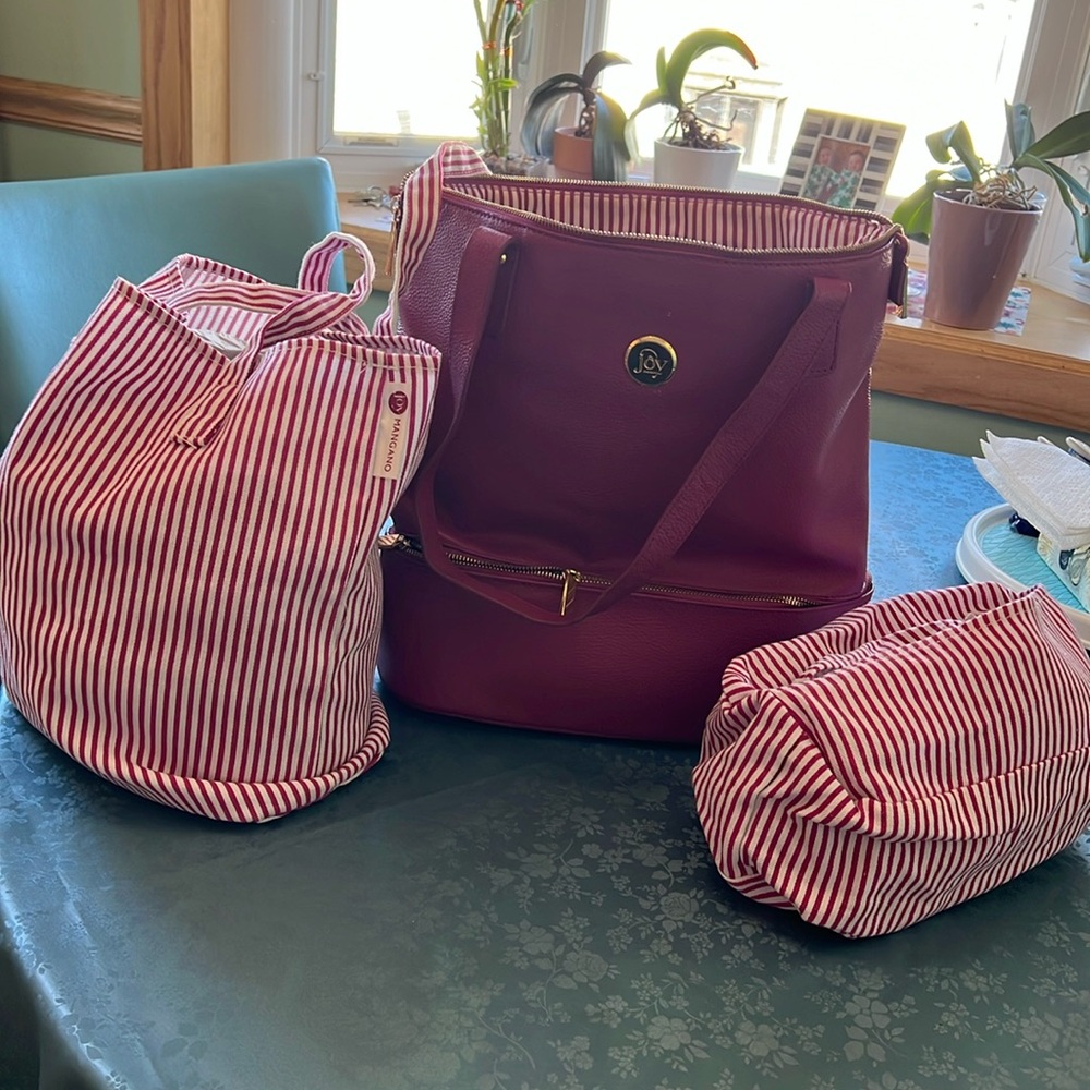 BLACK FRIDAY SPECIAL!  Joy mangano RFD tote bag and accessories.